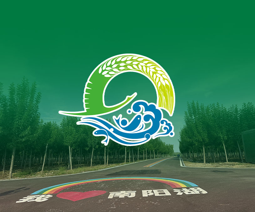 手繪插畫與多折頁設計